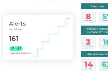perpetual KYB providers