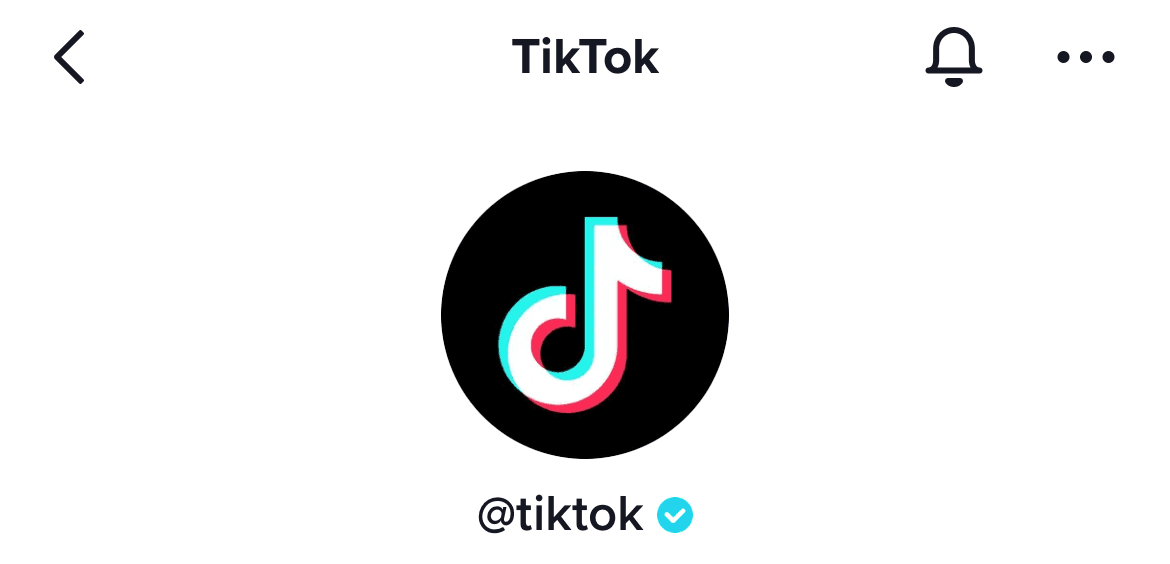 tiktok identity verification